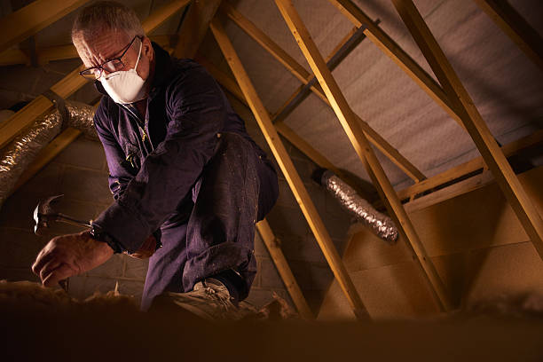 Best Specialty Insulation in Locust Valley, NY